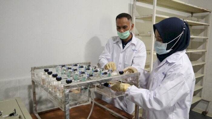 IDI Pusat Apresiasi Produk Eucalyptus Kementerian Pertanian