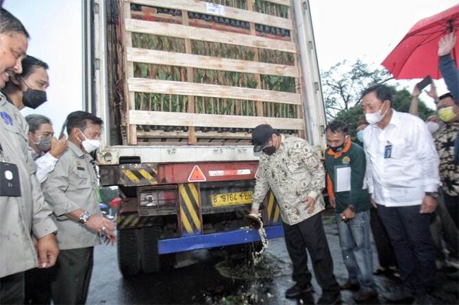 Dorong UMKM Ekspor Tanaman Hias, BNI Berikan KUR
