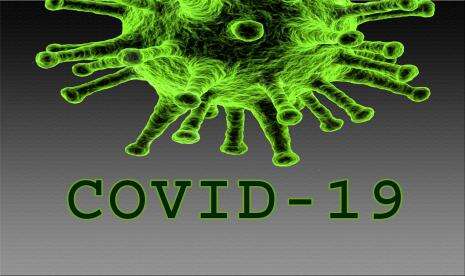 Dua Teori Berkembang Telusuri Asal-Usul Virus Covid-19