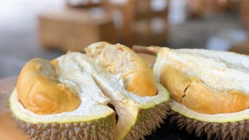 Gak Disangka, Ini 5 Manfaat Durian bagi Kesehatan Wanita