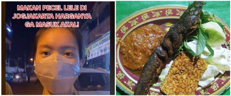 Buntut panjang video viral mahalnya pecel lele di Malioboro