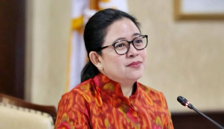 Mengintip Harta Kekayaan Puan Maharani yang Capai Rp364 M, Tanahnya Banyak Bener! Ada 75 Bidang!