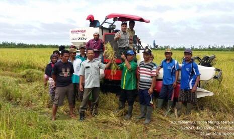Produksi Padi di Kabupaten Merauke Terus Digenjot
