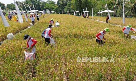 Kebijakan Pangan Terbuka Dukung Tercapainya Ketahanan Pangan