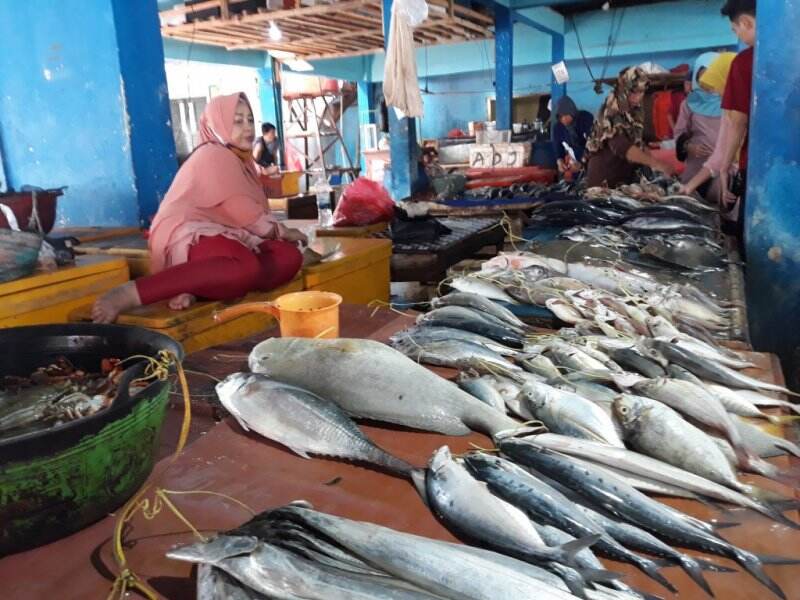 Tergiur Lihat Hasil Tangkap Ikan, Diskan Lebak Pede Bisa Sumbang PAD Rp1,2 Miliar