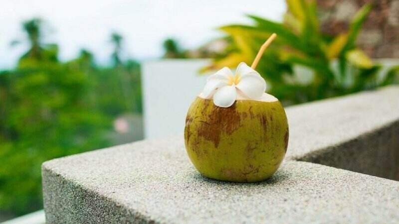 Tak Hanya Menyegarkan Tenggorokan, Ini Khasiat Minum Air Kelapa di Pagi Hari Bagi Kesehatan Tubuh, Dahsyat Banget!