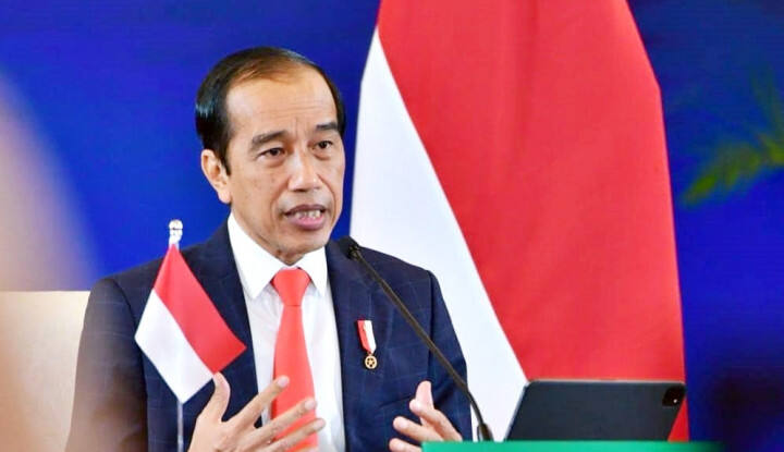 Waduh! Lembaga Antikorupsi di Jerman Surati Jokowi, Isinya...