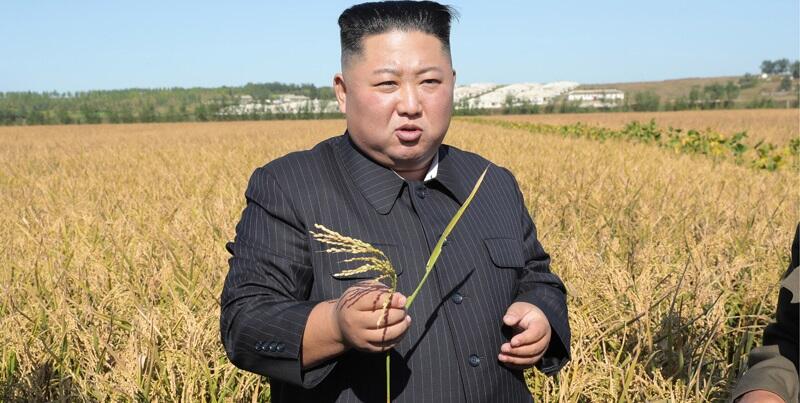 FAO: Tanpa Impor Dan Bantuan Pangan, Korea Utara Akan Menghadapi Masa Sulit