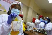 Waspada! Muncul Calo dan Penipuan Plasma Konvalesen, Begini Modusnya