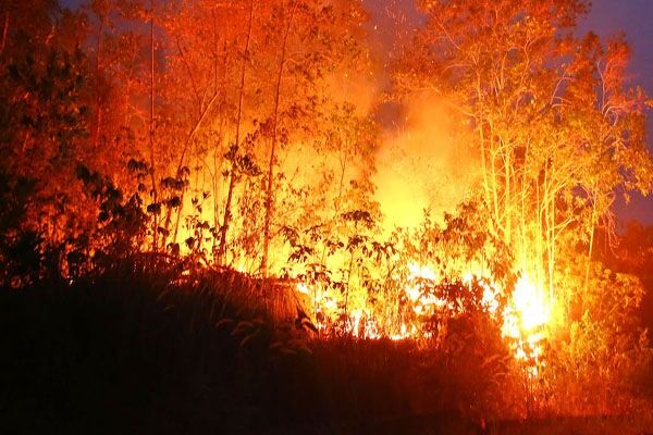 Lebak – Pandeglang Rawan Kebakaran Hutan saat Musim Kemarau, BPBD Banten Minta Warga Tak Sembarangan Buang Puntung Rokok