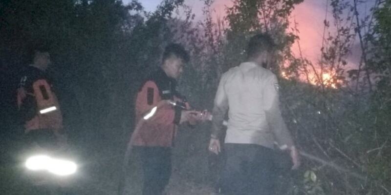 90 Hektare Lahan di Sumsel Terbakar Selama 2021