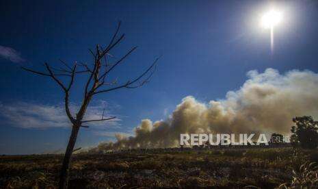 In Picture: Kebakaran Lahan di Kabupaten Tanah Laut Kalsel