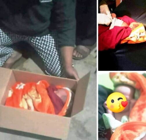 Heboh Penemuan Bayi Dalam Kardus di Kayu Aro