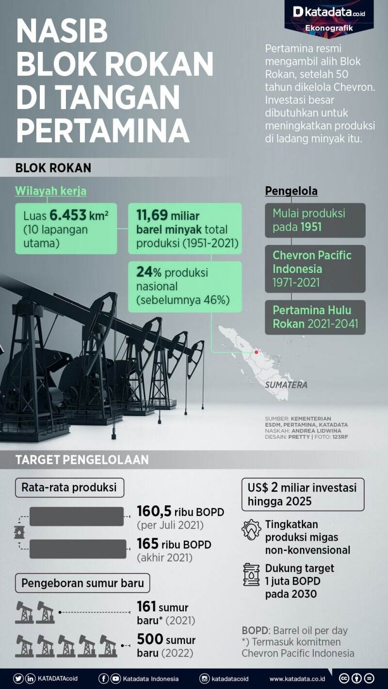 Nasib Blok Rokan di Tangan Pertamina