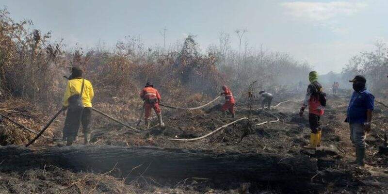 Kebakaran Gambut Bisa Dicegah dengan Kolaborasi Masyarakat