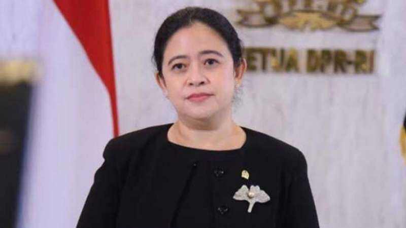 Biografi Puan Diduga Diretas dan Identitasnya Diplesetkan, Tokoh PDIP Sebut Selebrasi Para Pecundang