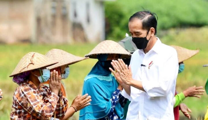 Sentilan Pedas ke Jokowi Usai Bagi-bagi Sembako Picu Kerumunan di Grogol