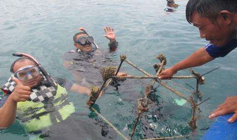 PLN Kembangkan 32 Kawasan Konservasi Flora Fauna