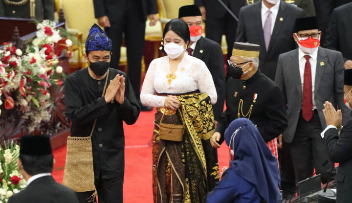 Mbak Puan Maharani, Anda Ngomongnya Kepanjangan, Jangan Coba-Coba Menggurui Presiden Yah!