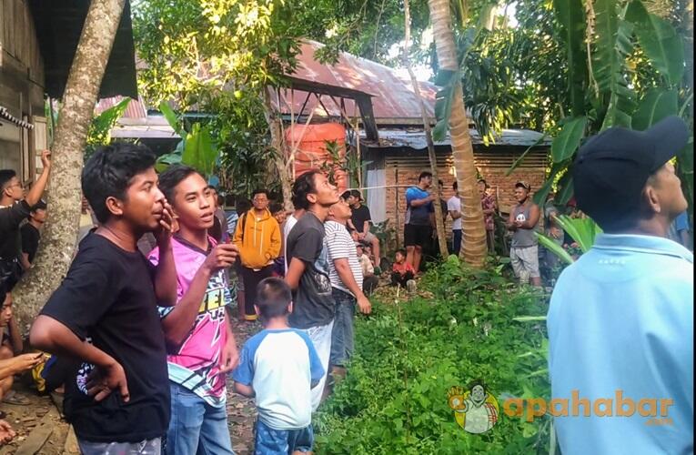 Geger! Macan Dahan Muncul Usik Istirahat Warga Kandangan