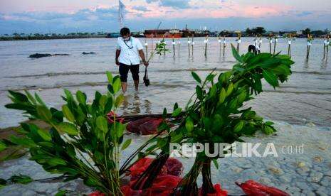 In Picture: Aksi Tanam Mangrove Peringati HUT Ke-76 Kemerdekaan RI