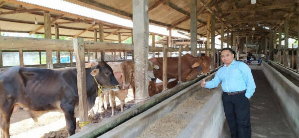 Tim PKM UTI Gulirkan Kegiatan Pelatihan untuk Meningkatkan Produktivitas Sapi