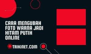 Cara Mengubah Foto Warna Jadi Hitam Putih Online