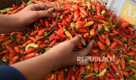 Harga Pangan Alami Deflasi Sepanjang Agustus