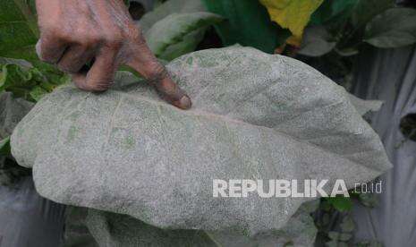 Hujan Abu Merapi Guyur Sebagian Wilayah Magelang
