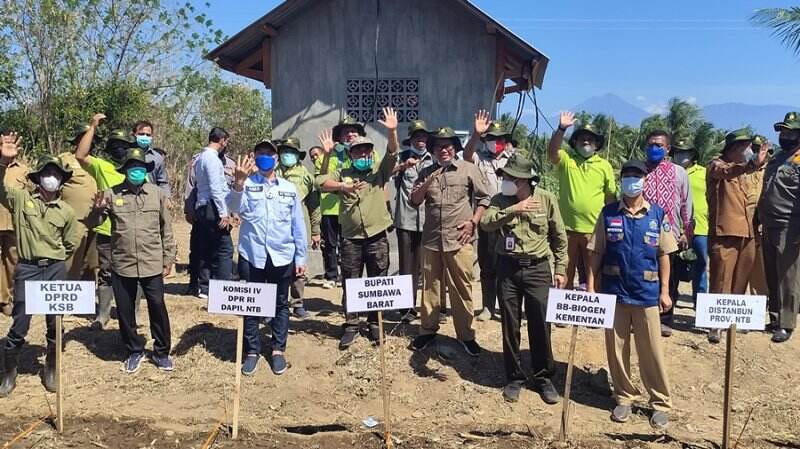 Poto Tano Jadi Pusat Pengembangan Kopi Robusta