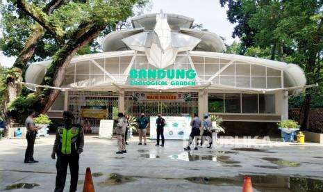Kebun Binatang Bandung Dibuka dengan Syarat