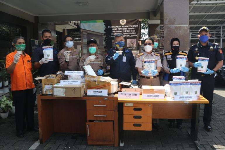 Dokumen Tak Lengkap, Karantina Pertanian Bandung Musnahkan Bibit Tanaman-Tarantula