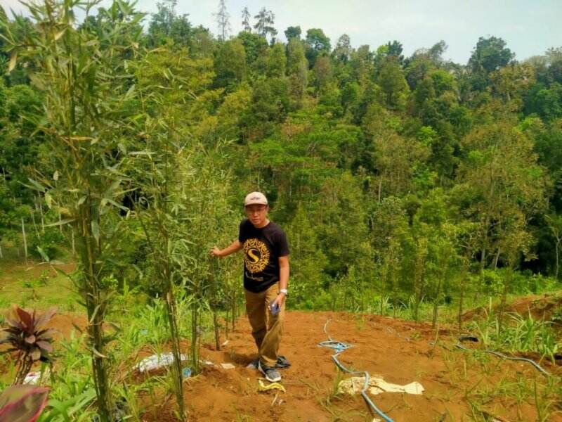 Saieda Wonosalam, Bangun Kawasan Kampoeng Bamboe