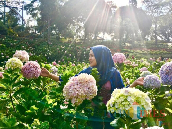 2 Destinasi Kota Batu Dipilih Pusat untuk Ujicoba Pembukaan Wisata