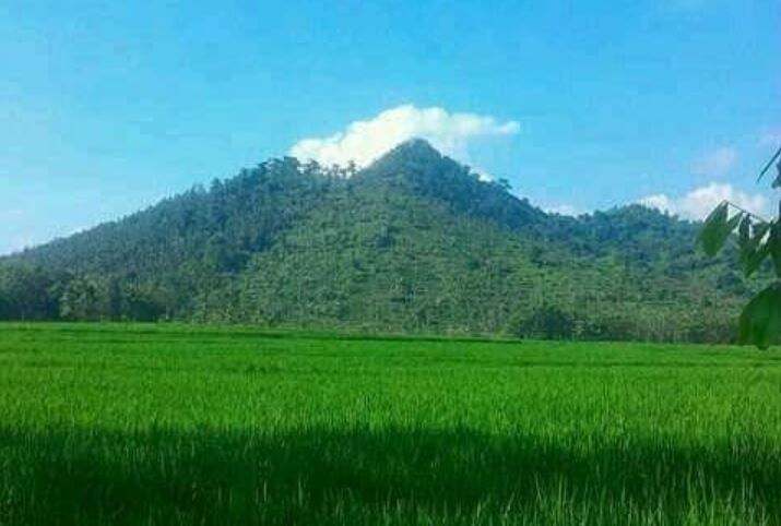 Gunung Liliran Ideal Jadi Spot Wisata Paralayang, Ini Lho Alasannya