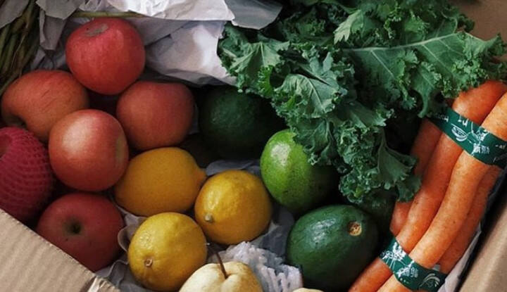 Catat! Beberapa Makanan Ini Bisa Mengurangi ‘Morning Sickness’ yang Ibu Hamil Alami