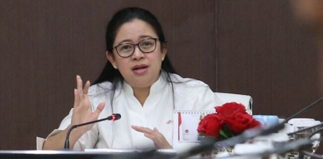 Puan: Hak Rakyat Akses Ruang Publik di Masa Pandemi Jangan Hilang Hanya karena Tak Punya Smartphone