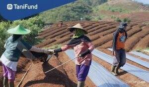 TaniFund dan BukaPengadaan Jalin Kerjasama, Permudah Akses Pembiayaan untuk UMKM