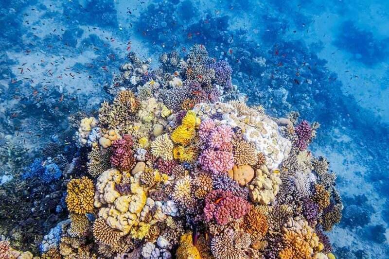 Pencerahan Awan Dapat Dinginkan Air Laut