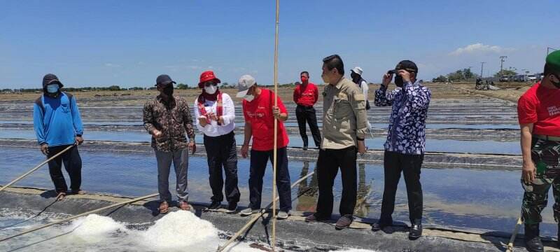 Petani Garam di Indramayu Keluhkan Harga Kian Anjlok
