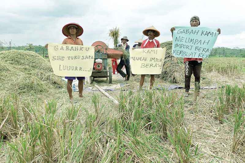 Sulit Mandiri Pangan jika Impor Terus Meningkat