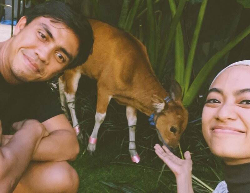 Ulang Tahun ke-31, Ayudia Bing Slamet Dapat Kado Anak Sapi dari Suami