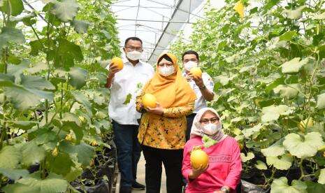 Wagub DKI Kunjungi Kampus IPB, Tengok Beragam Inovasi