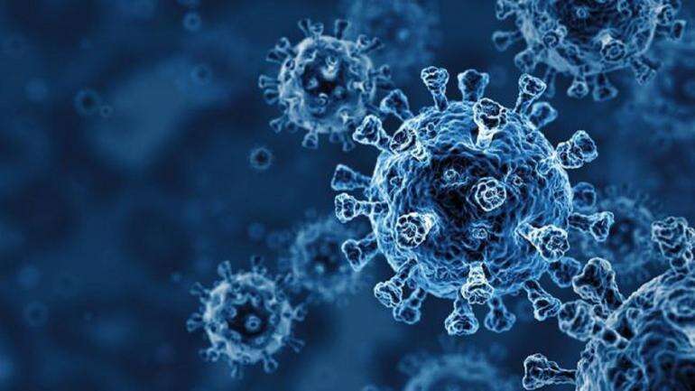Tetap Disiplin Protokol Kesehatan Virus Corona Kategori VoC Atau VoI Kudu Diwaspadai