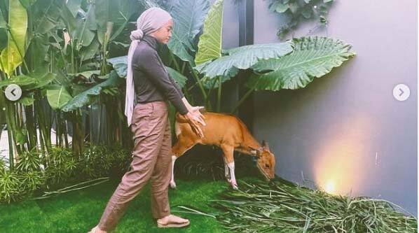 Lucu, Ayudia Bing Slamet Dikasih Kado Anak Sapi: Oh My God Suka Banget