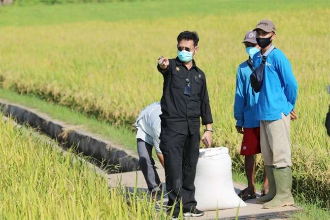 Produktivitas Petani Sumatera Barat Semakin Melonjak Berkat Alsintan