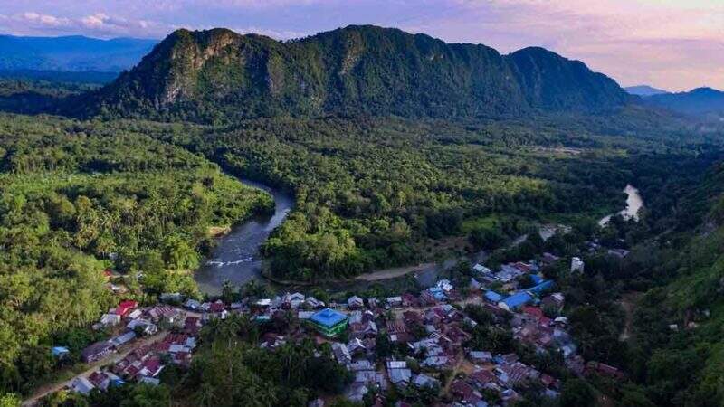 Melihat Lagi Tembang Ciptaan Iwan Fals untuk Meratus