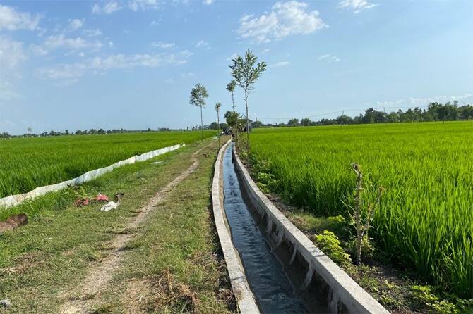 Irigasi Jadi Faktor Pendongkrak Produktivitas Pertanian Lampung