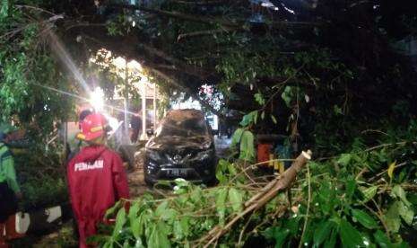 Pemkot Jakbar Gencaran Pemangkasan Pohon