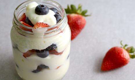 Manfaat Baik dan Buruk Makan Yoghurt
